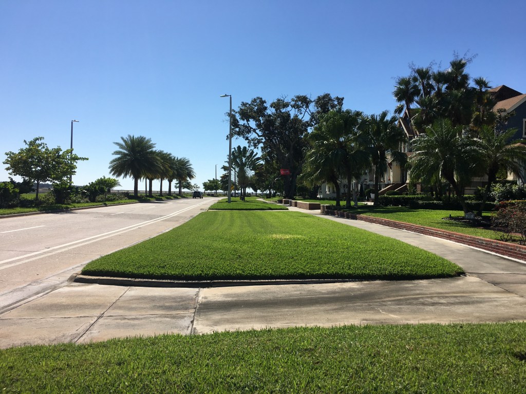 Other side of the street. Smell the money?